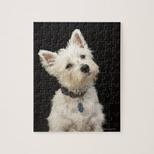 Westie (West Highland Terrier) mit Kragen Puzzle