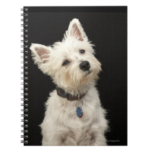Westie   Westhochland Terrier Notizblock