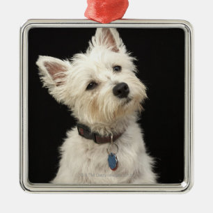 Westie   Westhochland Terrier Silbernes Ornament