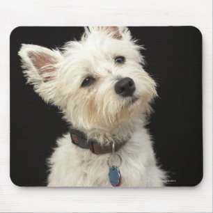 Westie (Westhochlandterrier) mit Kragen Mousepad