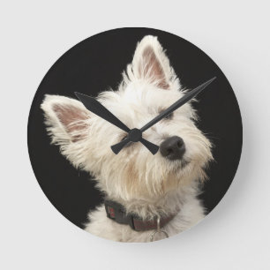 Westie (Westhochlandterrier) mit Kragen Runde Wanduhr