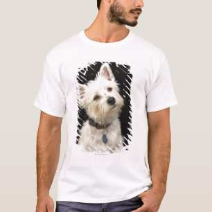 Westie (Westhochlandterrier) mit Kragen T-Shirt