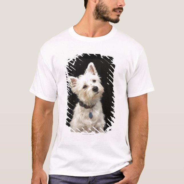 Westie (Westhochlandterrier) mit Kragen T-Shirt (Vorderseite)