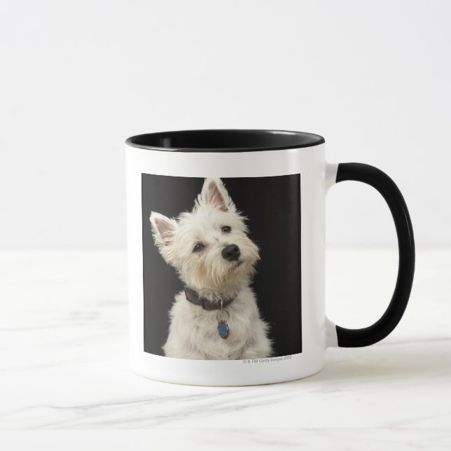 Westie (Westhochlandterrier) mit Kragen Tasse (Rechts)