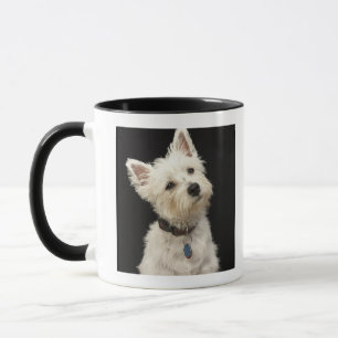 Westie (Westhochlandterrier) mit Kragen Tasse