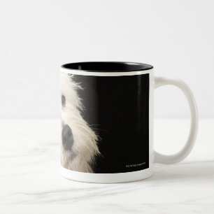Westie (Westhochlandterrier) mit Kragen Zweifarbige Tasse