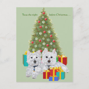 Westies am Weihnachtsbaum Feiertagspostkarte