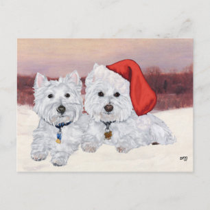 Westies in Wintertime Postkarte