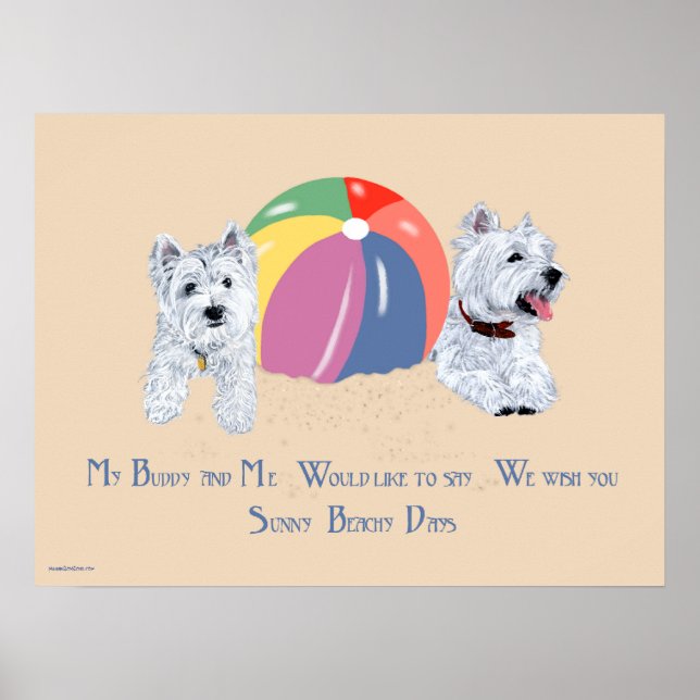 Westies mit einem Beach Ball Poster (Vorne)