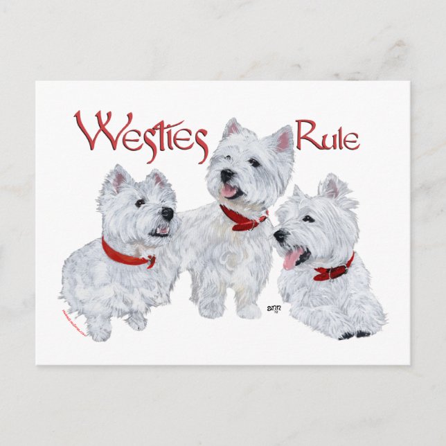 Westies-Regel! Postkarte (Vorderseite)