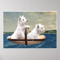 Westies Set Sail