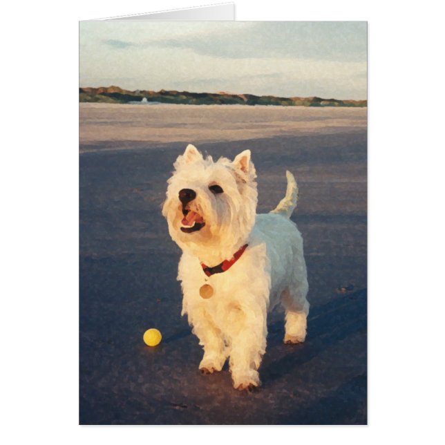 Westies und das Meer (Vorne)