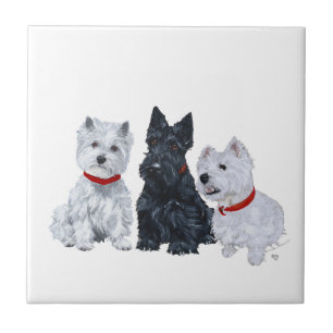 Westies und ein Scottie Together Fliese