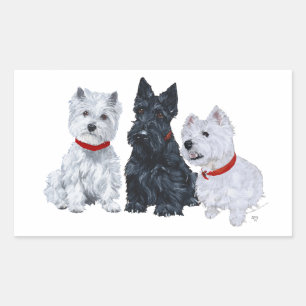 Westies und ein Scottie Together Rechteckiger Aufkleber