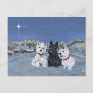 Westies und ein Scottie Weihnachten