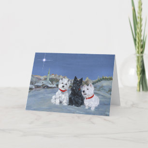 Westies und ein Scottie Weihnachten
