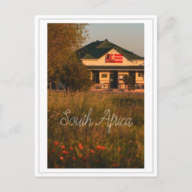 Westküste Aurora Südafrika Wilde Blume Postkarte (Vorderseite)