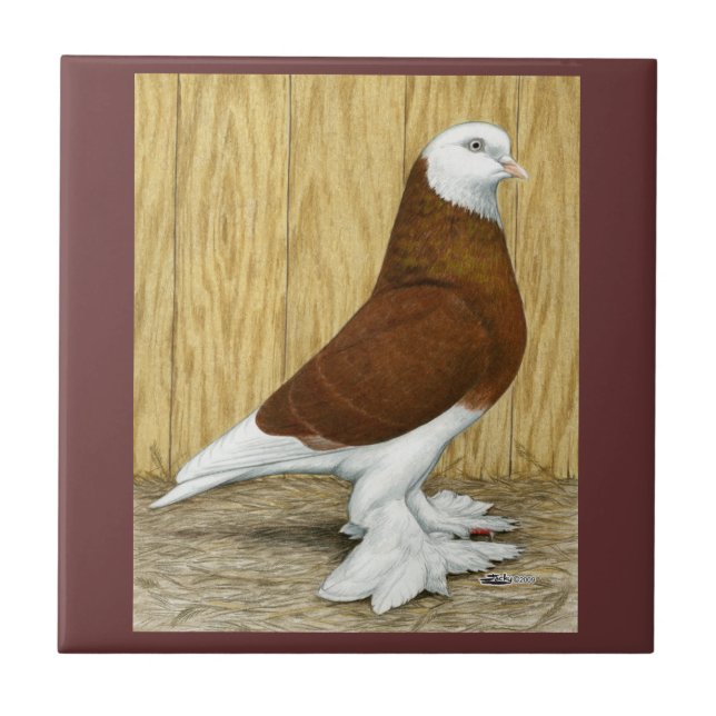 Westlich des England-Trommel-Rot-Kahlkopfs Fliese (Vorderseite)