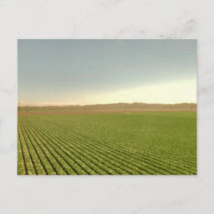 Westliche Ackerflächen Reihen Landschaftsfotografi Postkarte