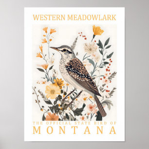 Westliche Lerchenstärling-Vogel von Montana USA Re Poster