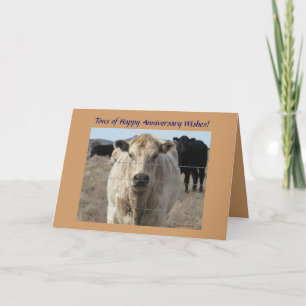 Westlicher Hochzeitstag Rinderherde Karte