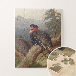 Westlicher Tragopan, Vogelillustrationen Puzzle