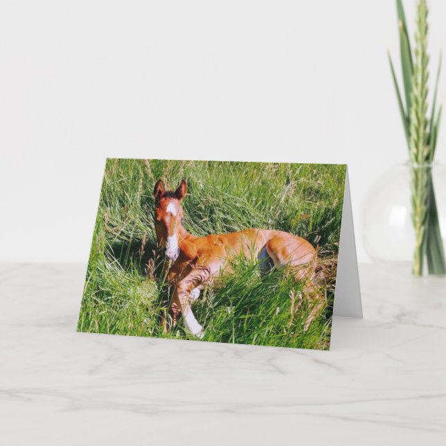 Weston napping karte (Vorderseite)