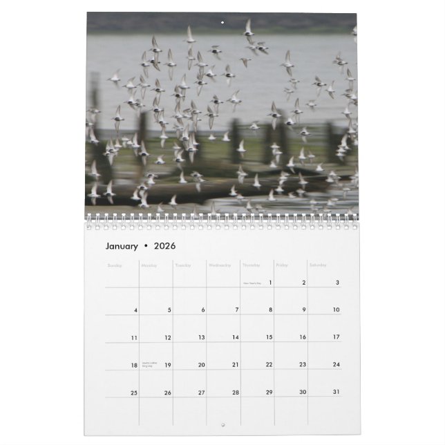 Westport Wellen - 2013 surfender Kalender (Jan 2026)