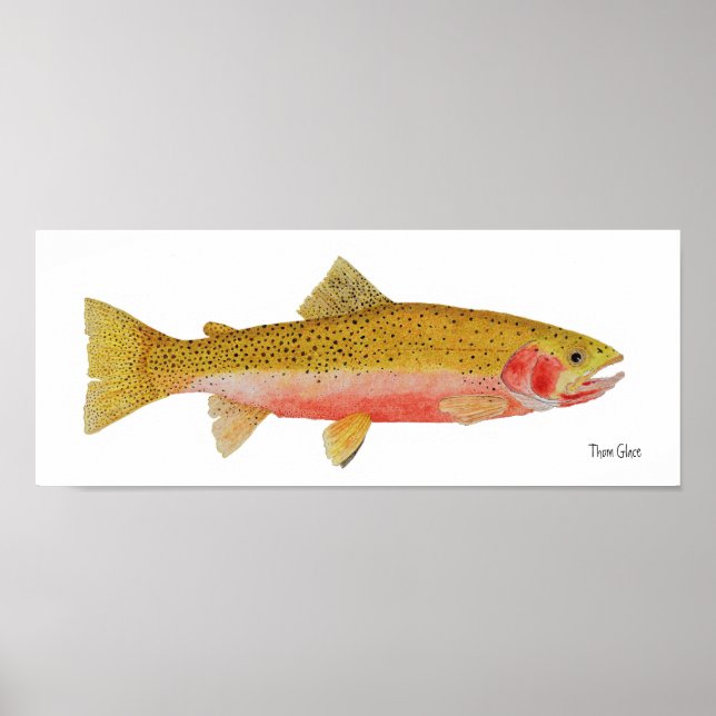Westslope Cutthroat Trout Wasserfarbe Poster (Vorne)