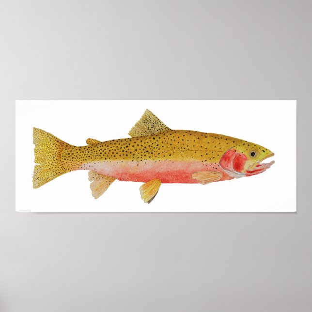 Westslope Cutthroat Trout Wasserfarbe Poster (Vorne)