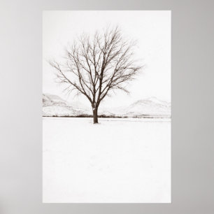 Westtexas-Blizzard Poster