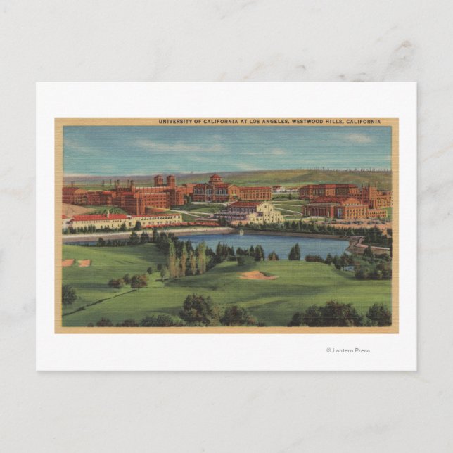 Westwood Hills, CA - View of U.C.L.A. Campus Postkarte (Vorderseite)