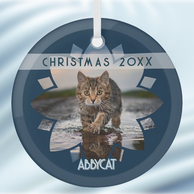 Wet Cat Photo Framed in Flower on Blue Ornament Aus Glas (Von Creator hochgeladen)