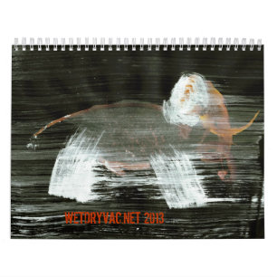 Wetdryvac.Net 2013 Kalender