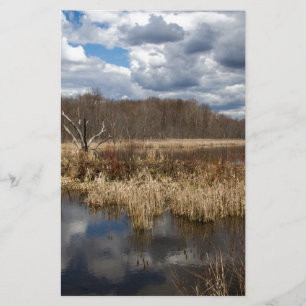 Wetland Cloudscape