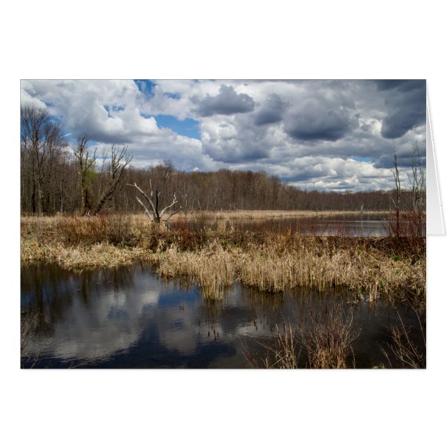Wetland Cloudscape (Vorderseite (Horizontal))