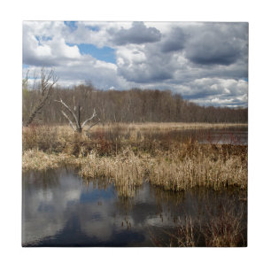 Wetland Cloudscape Fliese