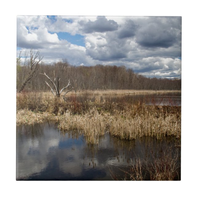 Wetland Cloudscape Fliese (Vorderseite)