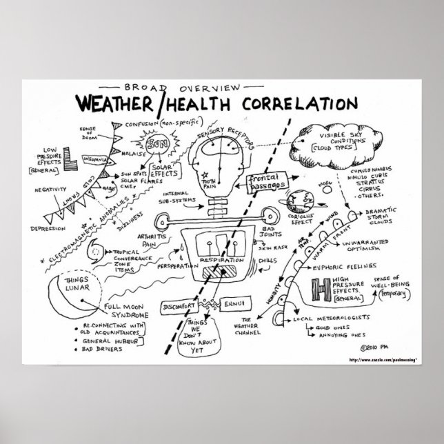 Wetter/Gesundheitskorrelation Poster (Vorne)