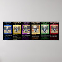 Wetter- und Bea-Name-Plakat