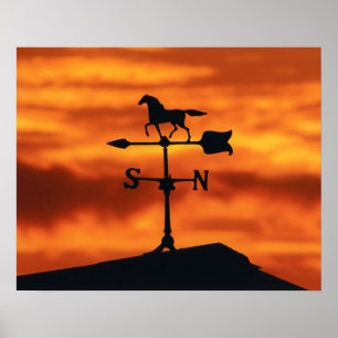 Wetter Vane bei Sonnenuntergang Poster