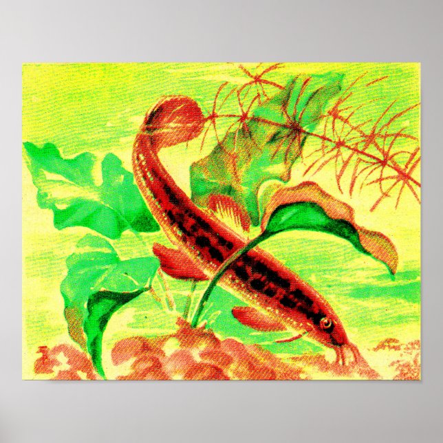 Wetterbezug Poster (Vorne)