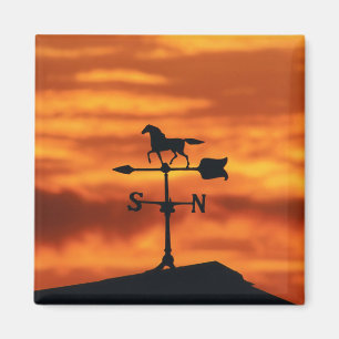 Wetterfahne am Sonnenuntergang Magnet