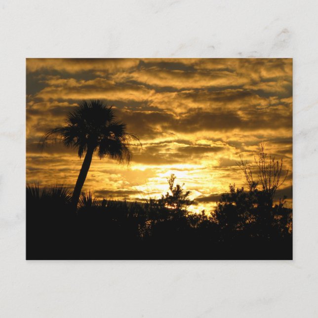 Wettermord II Postkarte (Vorderseite)