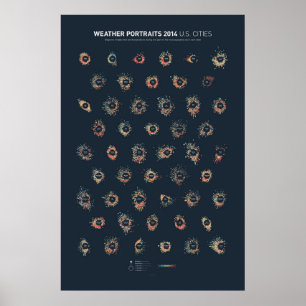 Wetterportraits 2014: US-Städte Poster