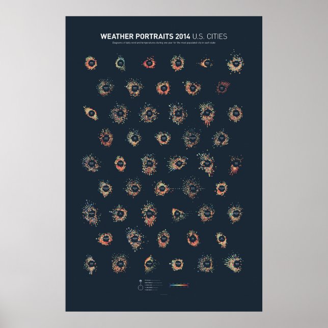 Wetterportraits 2014: US-Städte Poster (Vorne)