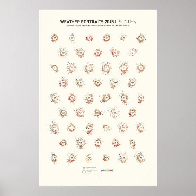 Wetterportraits 2015: US-Städte Poster (Vorne)