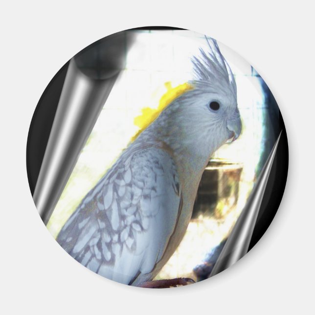 WF tiel Magnets Magnet (Vorne)