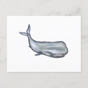 Whale Aquarellkunst Postkarte