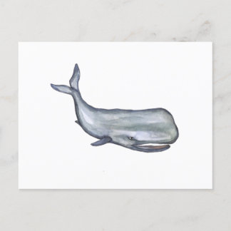 Whale Aquarellkunst Postkarte